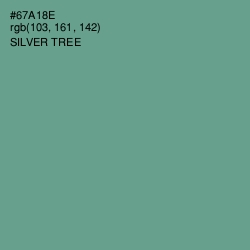 #67A18E - Silver Tree Color Image
